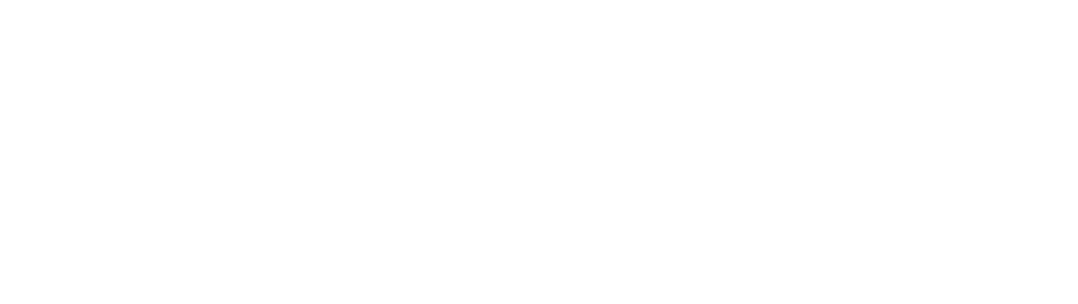 A+A 2027 官方 Logo
