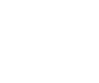 FIEE Brazil 2027 官方 Logo